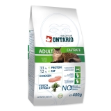Ontario Cat Adult Castrate